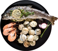 Fish With Samurai Ipsam